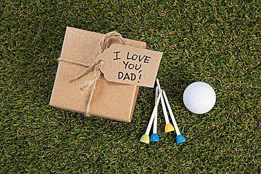 父亲,白天,礼盒,文字,高尔夫球,地点,俯视