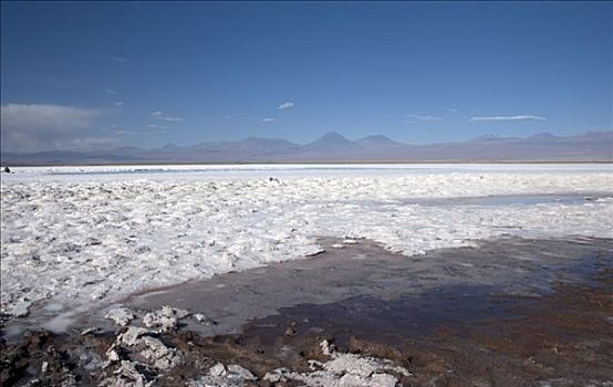 盐湖,阿塔卡马沙漠,智利,南美