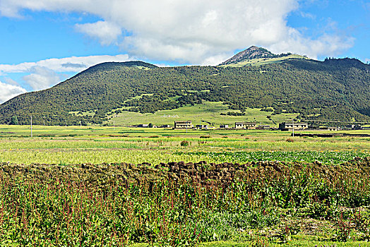 香格里拉风景