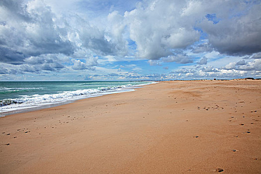 海滩,靠近,安达卢西亚,西班牙