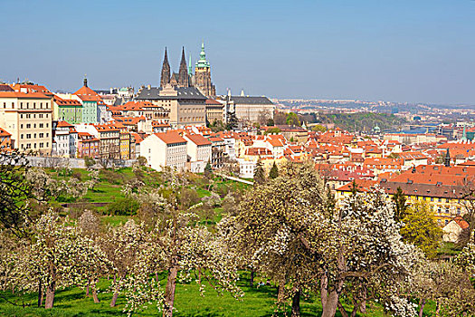 布拉格,风景,拉德肯尼,城堡,大教堂