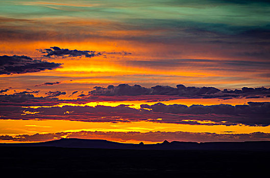 日落,上方,涂绘,石化森林国家公园,亚利桑那