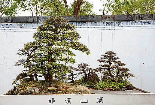 安徽黄山歙县鲍家花园徽派盆景