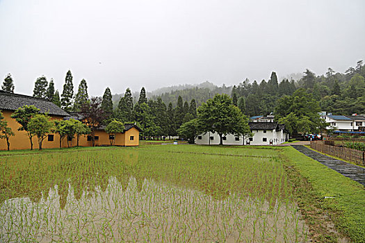 井冈山大井毛泽东旧居