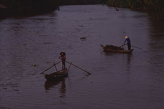 越南,省,湄公河三角洲,女人