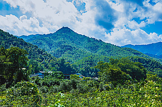 夏日山林风光