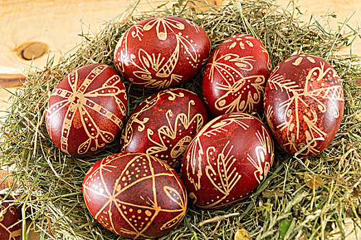 红色复活节彩蛋,鸡窝