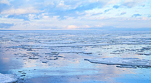 冬天,沿岸,海景,漂浮,冰,碎片,安静,寒冷,波罗的海,海湾,芬兰,俄罗斯