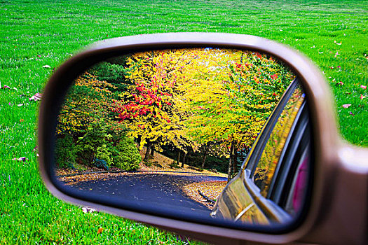 俄勒冈,美国,秋色,树,侧视镜
