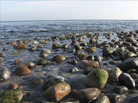 石头,海滩,梅克伦堡州,德国