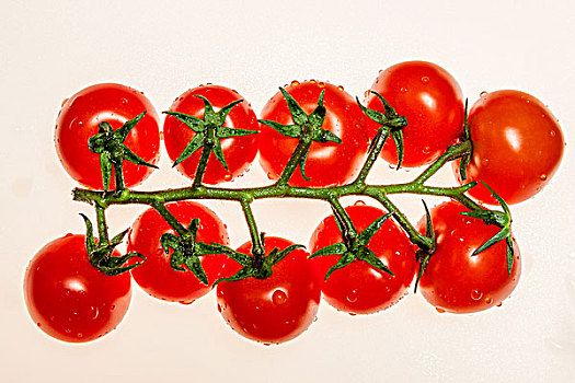 西红柿图案