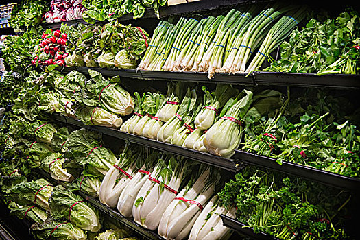 小白菜,绿色,展示,超市,宾夕法尼亚,美国