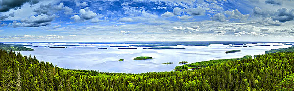 湖,芬兰,夏天,全景