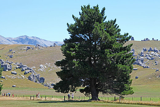 新西兰塞尔温的库拉-塔维提通道kura,tawhiti和城堡山castle,hill