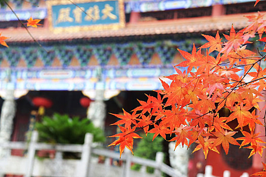 广西全州千年古刹湘山寺,枫叶红于,二月花