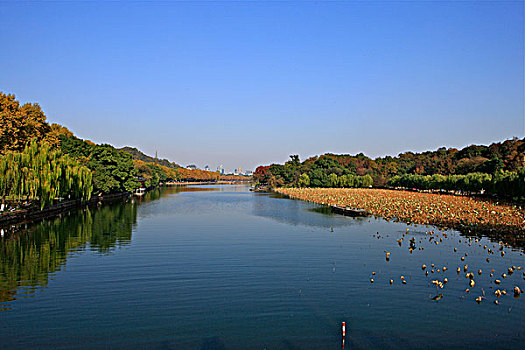 杭州西湖北里湖