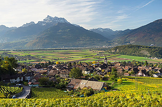 风景,小镇,富饶,罗纳河谷,围绕,葡萄园,沃州,瑞士,欧洲