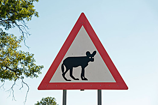路标,警告,非洲野狗,细条,纳米比亚,非洲