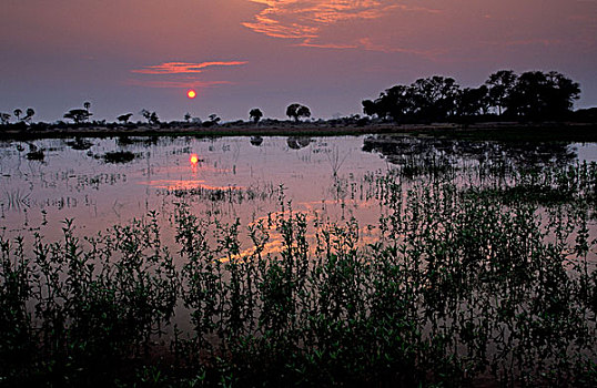 非洲,博茨瓦纳,奥卡万戈三角洲,日落,上方,湿地