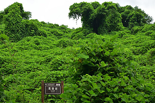 河北省石家庄平山县藤龙山风景区