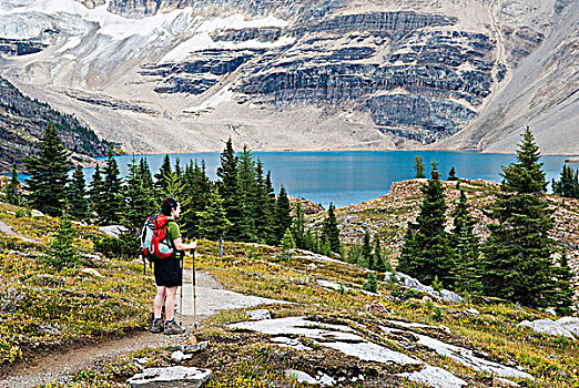 女人,俯瞰,湖,区域,幽鹤国家公园,不列颠哥伦比亚省,加拿大