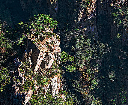 黄山风光