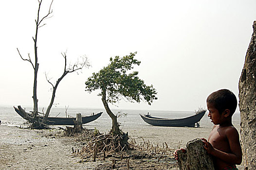 风景,岛屿,孟加拉,八月,2008年