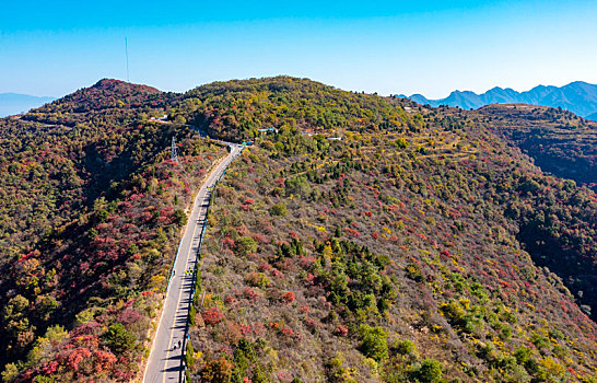 河南三门峡,满山红叶层林尽染