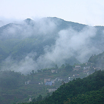 山,树林,雾气,云海,氤氲,绿色,树木,乡村