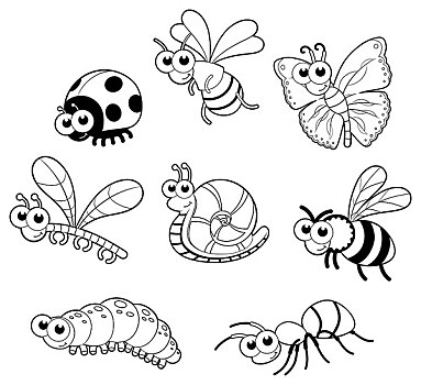 昆虫,蜗牛