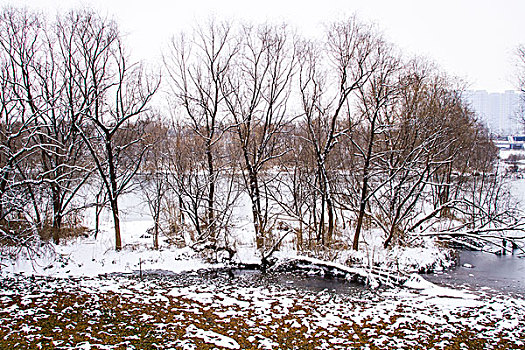 雪景