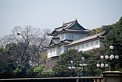 建筑,宫殿,皇宫,东京,本州,日本