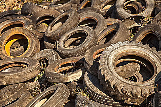 轮胎,垃圾场,新西兰