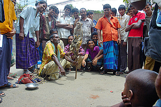一个,男人,玩,达卡,首都,孟加拉,六月,2007年