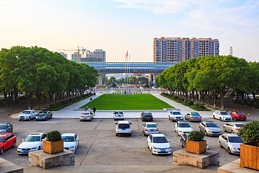 草地,草坪,树木,学生