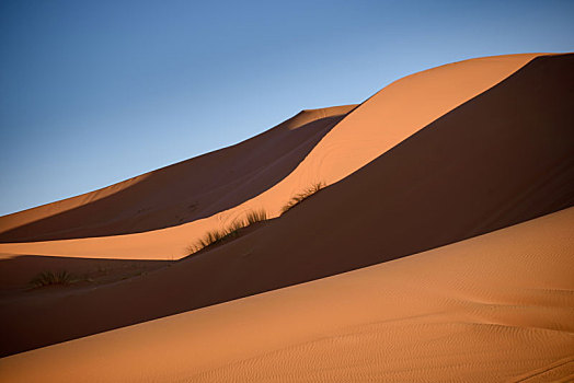 沙丘,摩洛哥,撒哈拉沙漠
