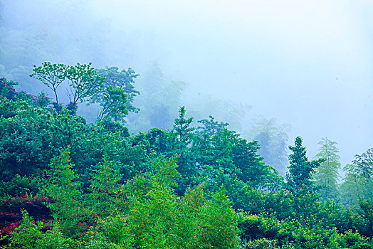 余姚,四窗岩,漂流,夏天,水,山村