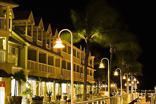路灯,棕榈树,正面,房子,基韦斯特,佛罗里达,美国