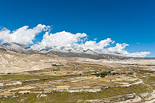 荒芜,种植,风景,乡村,左边,右边,山,喜马拉雅山,尼泊尔,亚洲