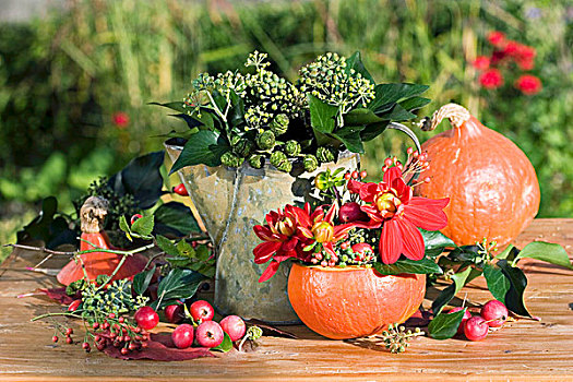 秋天装饰,常春藤,南瓜,大丽花,观赏苹果