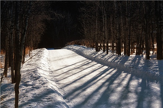积雪,影子,道路