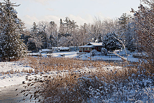 房子,冬天,遥远,区域,魁北克,加拿大