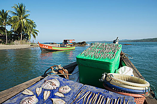 缅甸,分开,捕鱼,抓住,渔船,乡村