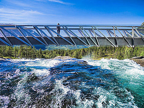 女孩,桥,挪威