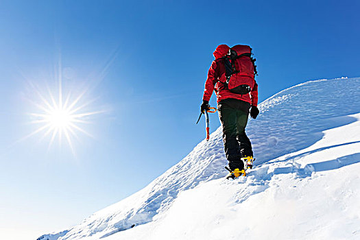 极限,冬季运动,攀登,上面,雪,顶峰,阿尔卑斯山,概念,坚决,成功,力量
