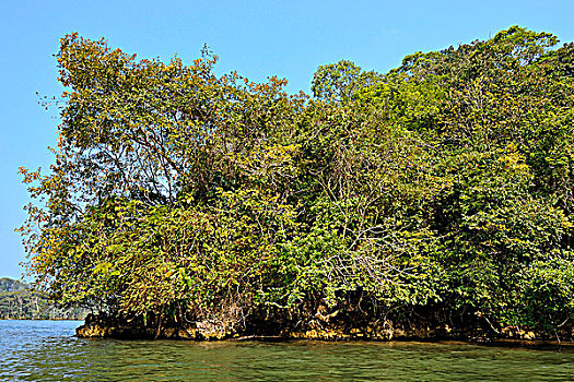 危地马拉,雨林