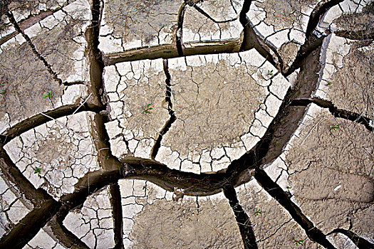 干燥,缝隙,地面,河流,床,荒芜,干旱,大湾国家公园,德克萨斯,美国