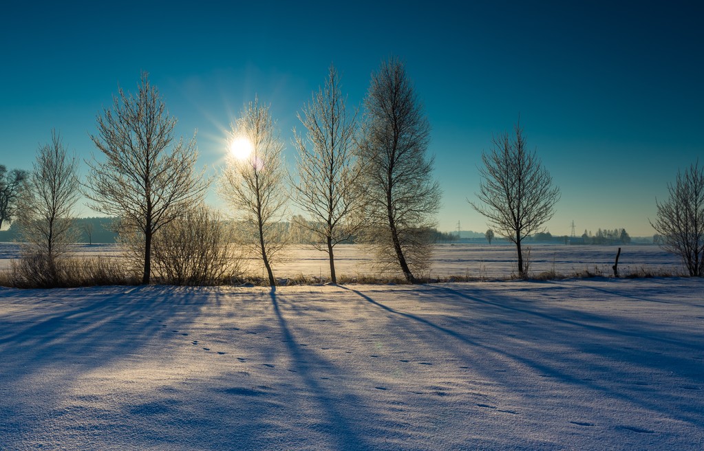 乡村冬季早晨图片图片