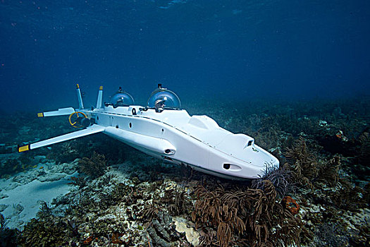 潜水艇,珊瑚礁