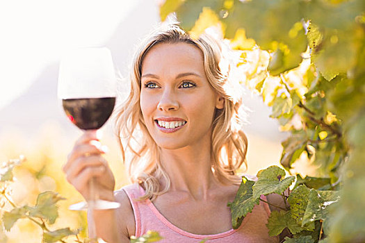 微笑,女人,看,葡萄酒杯,站立,靠近,葡萄藤,葡萄园